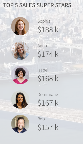 SalesPerson_Picture.png